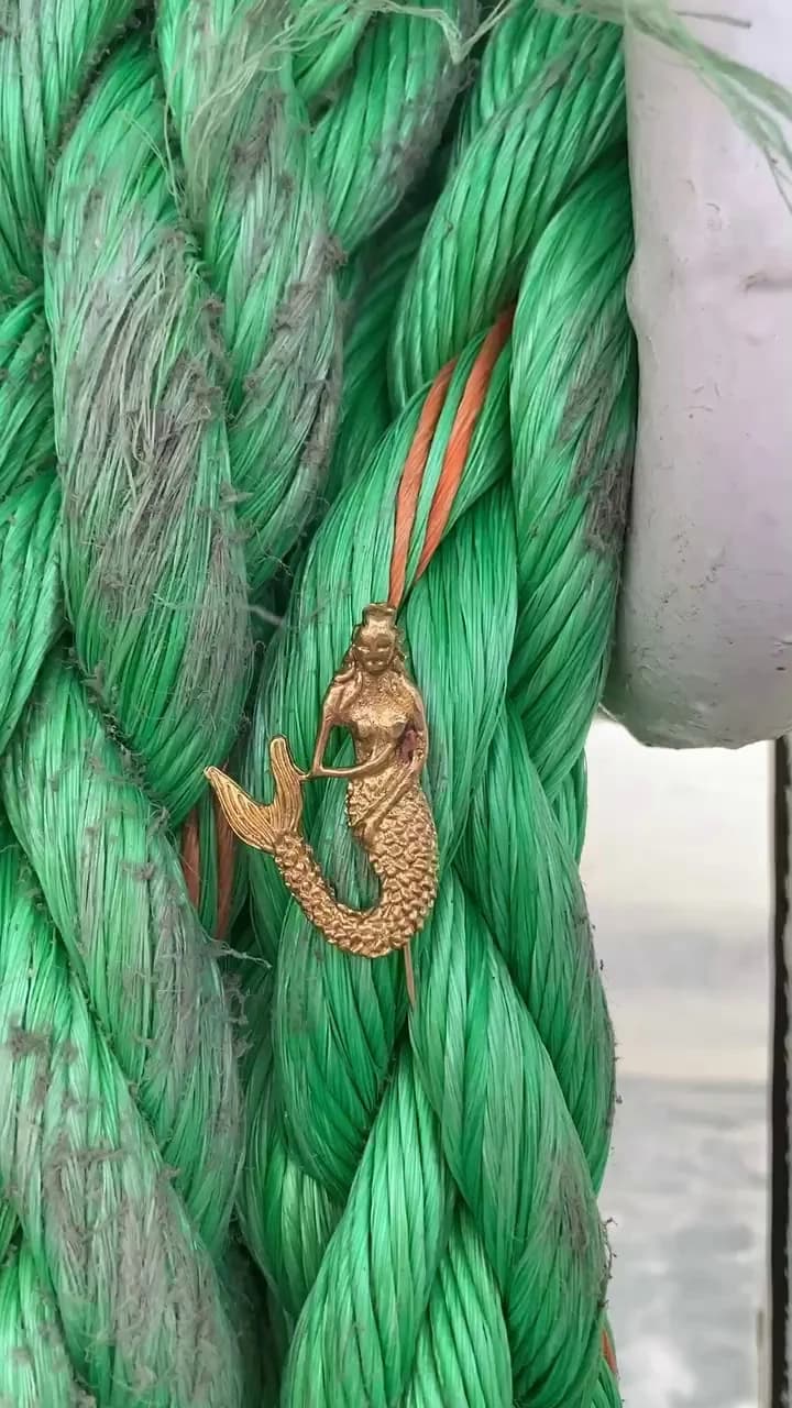 reels